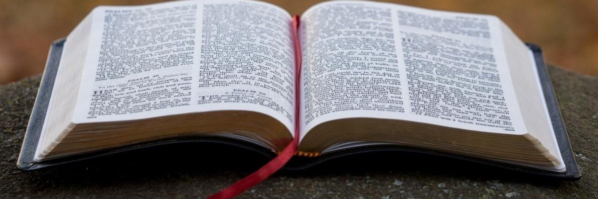 „Bibel-Online“-Gesprächskreis (3)