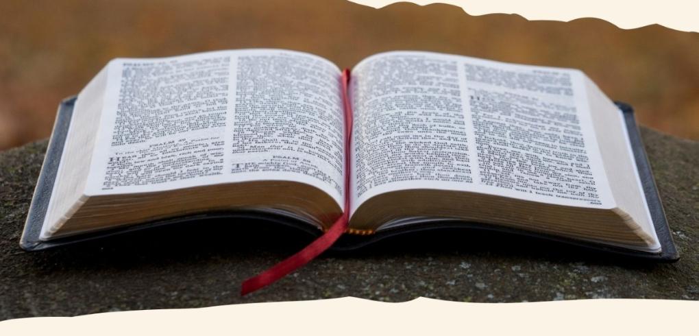 „Bibel-Online“-Gesprächskreis (3)